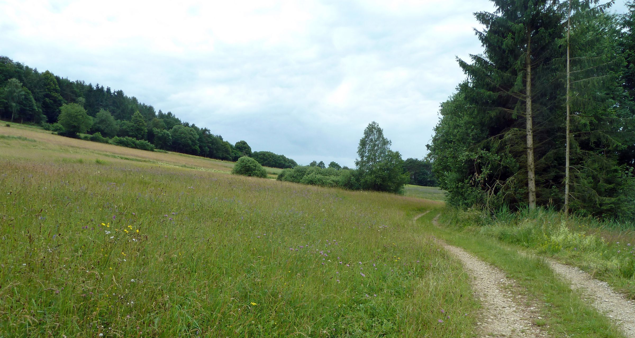 Weg im Püttlachtal (Foto: Winfried Berner)