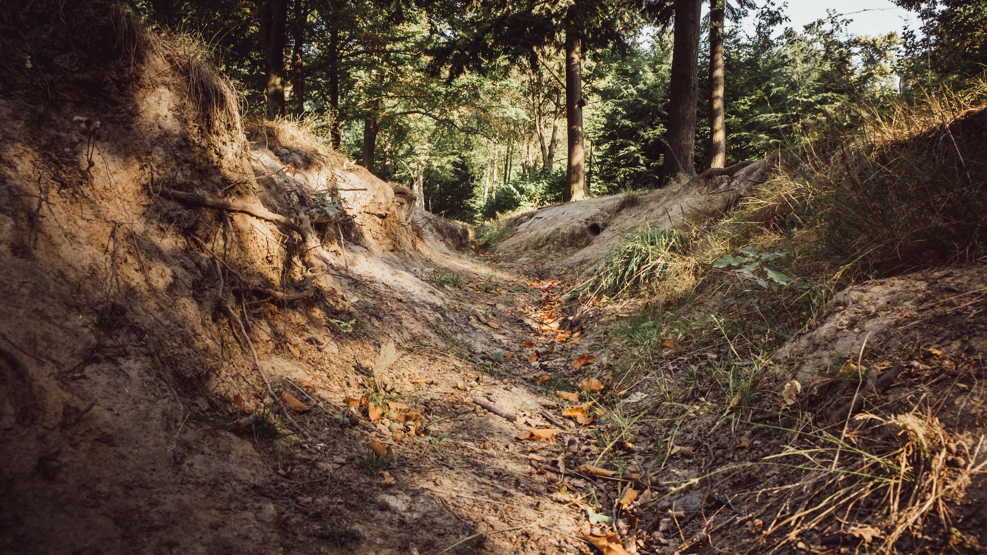 Ausgetrockneter Bach im Wald durch sommerliche Hitzeperiode