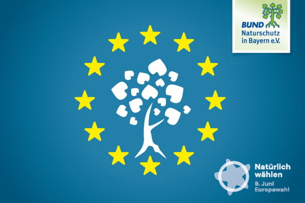 BN-Banner Europawahl 2024