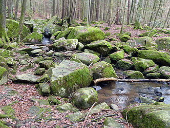 Was die Energiewirtschaft in der Hölle an Wasser übrig lässt, ist nur ein trauriger Rest einstiger Schönheit (Foto: Winfried Berner).