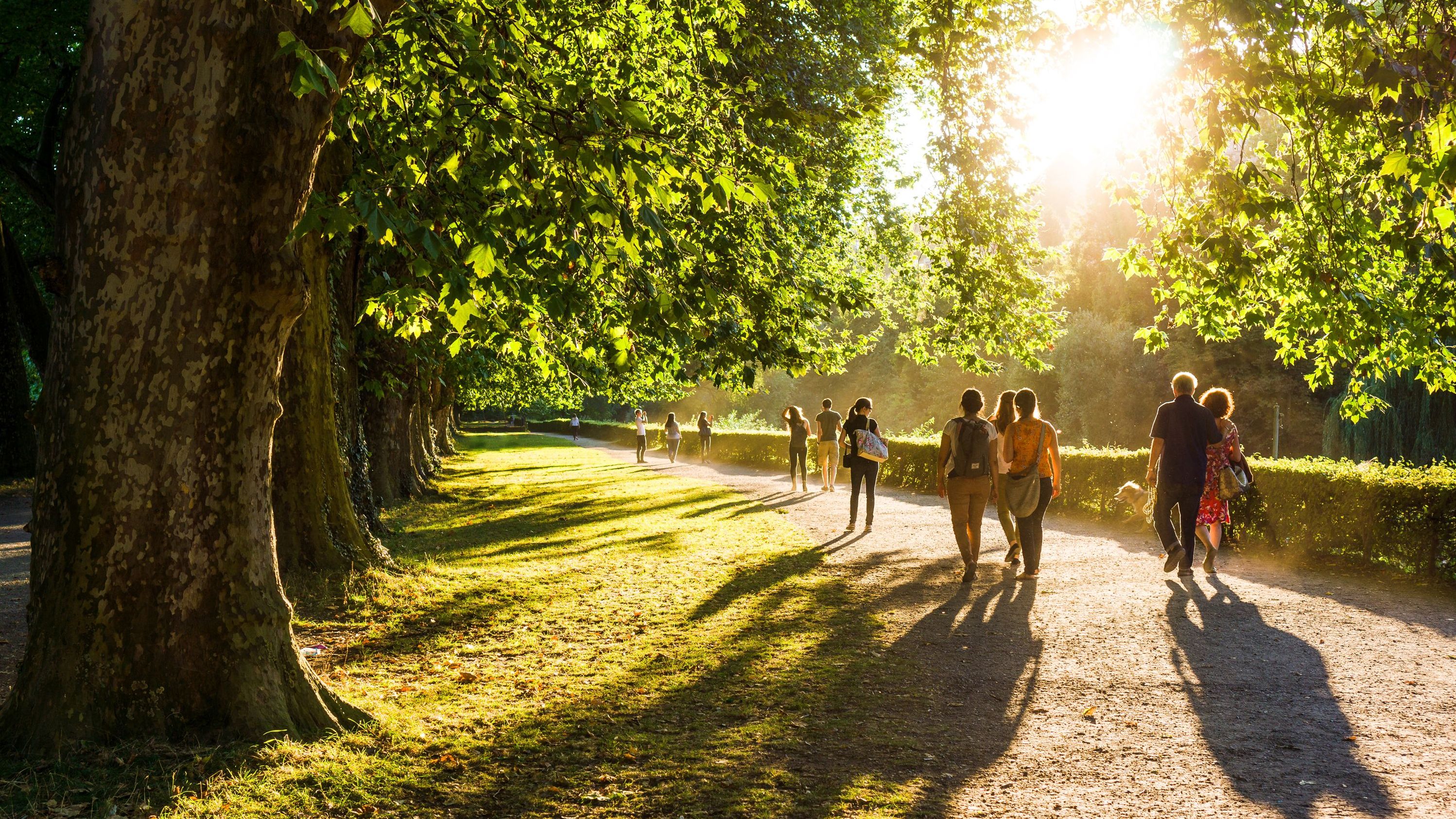 Grünflächen sind mehr als Erholungsorte: Sie senken das Risiko für zahlreiche Erkrankungen (Foto: johsch/stock.adobe.com). Stadtnatur und Gesundheit: Menschen gehen unter den Bäumen eines Stadtparks spazieren. Die Abendsonne scheint durch die Zweige eines Baumes und taucht die Szene in ein warmes Licht.