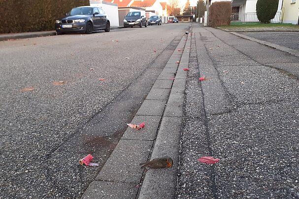 Totes Rotkehlchen an Neujahr
