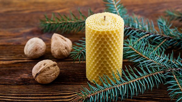 Nachhaltige Weihnachten: Eine Bienenwachskerze steht auf einem braunen Holztisch, daneben liegen drei Walnüsse und ein Tannenzweig.
