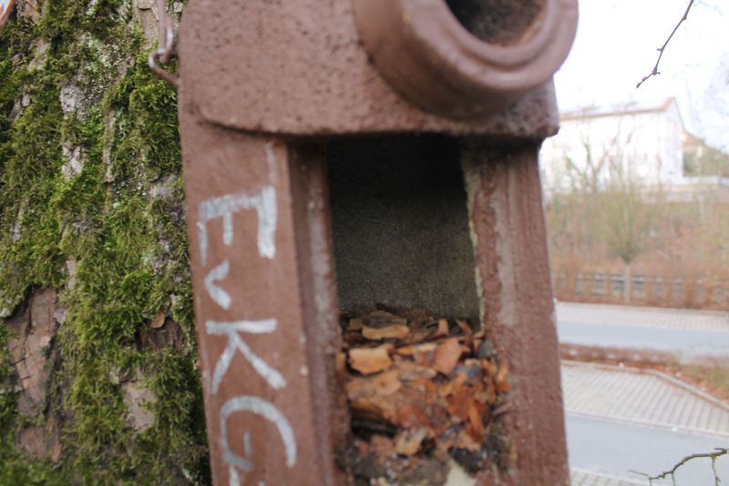 Nistkasten Reinigen In Lauf Bund Naturschutz In Bayern E V