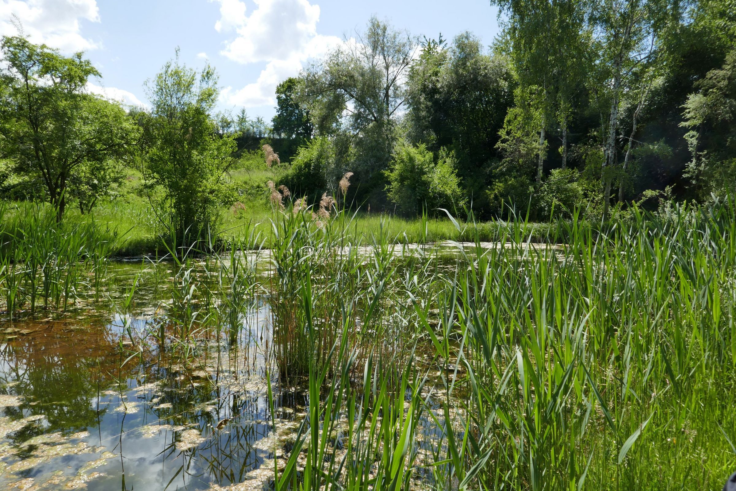 Stroblgrube bei Siegelsdorf