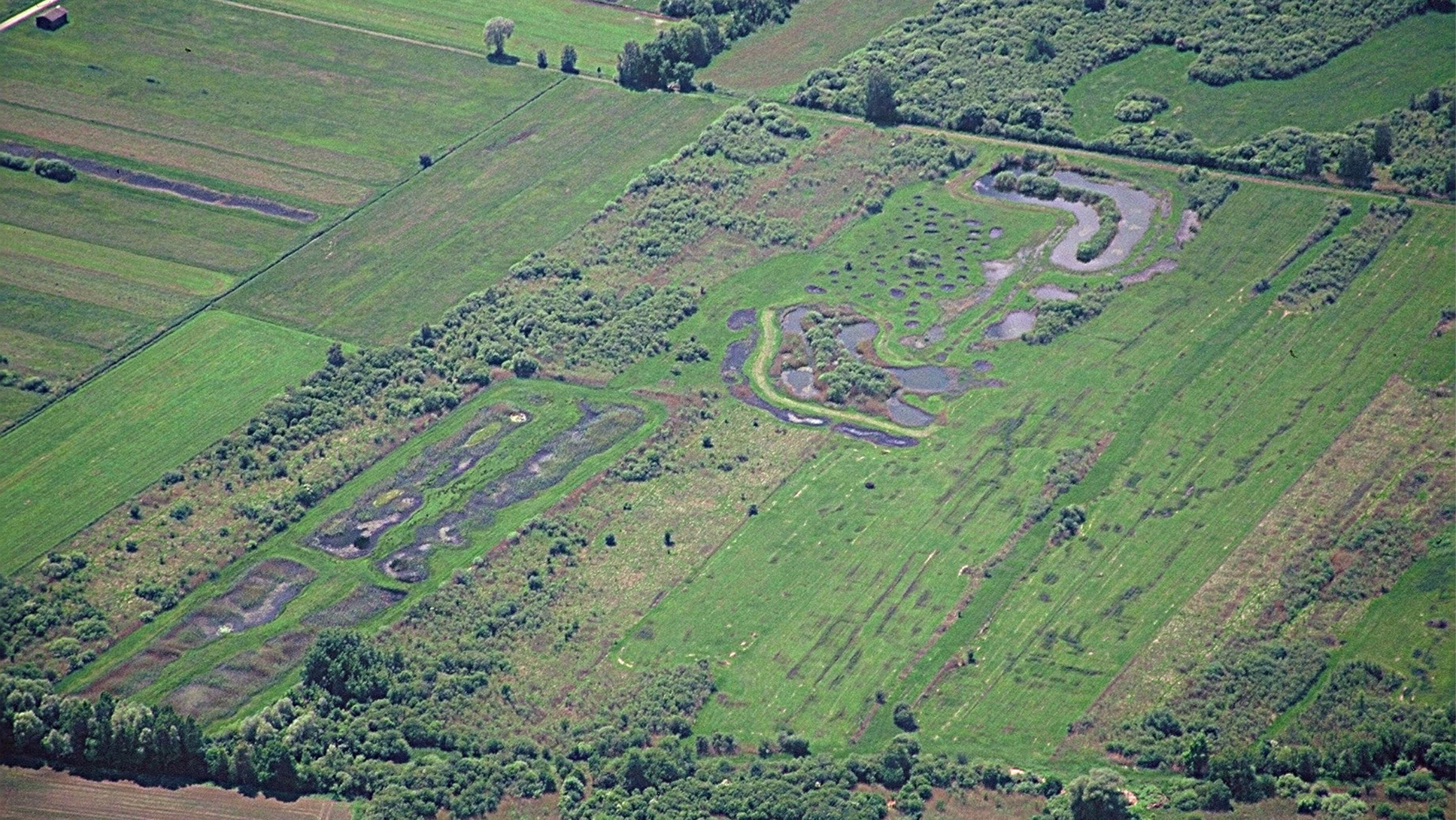 Luftbildaufnahme des Mertinger Rieds (bzw. Mertinger Höll). (Foto: K. Leidorf)