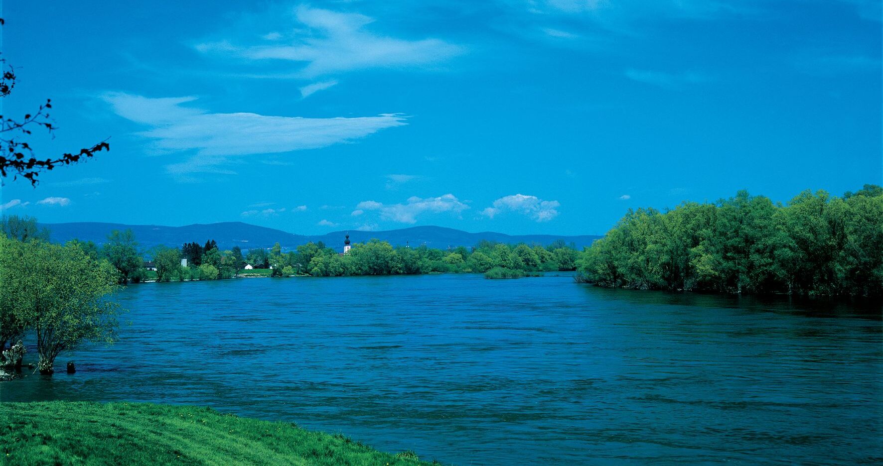 Donau: Mühlhamer Schleife 