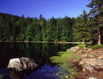 Nationalpark Bayerischer Wald Rachelsee (Foto: Willner) Rachelsee im Nationalpark Bayerischer Wald