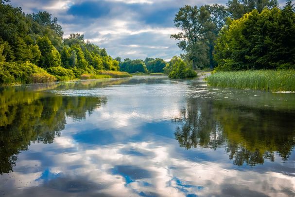 Foto: fotolesnik/stock.adobe.com