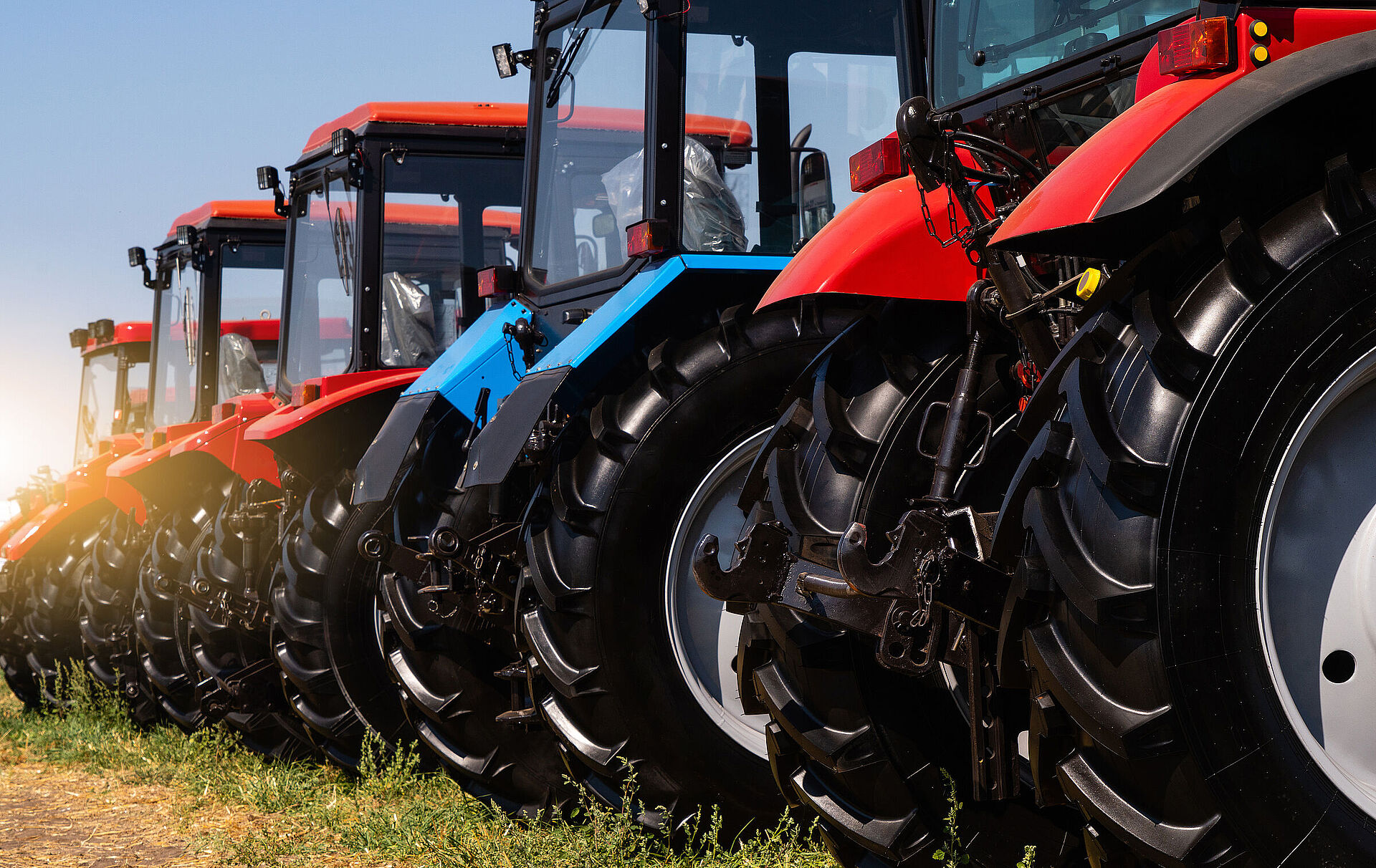 Der Agrardiesel ist nicht das Problem – Landwirtschaft endlich umbauen