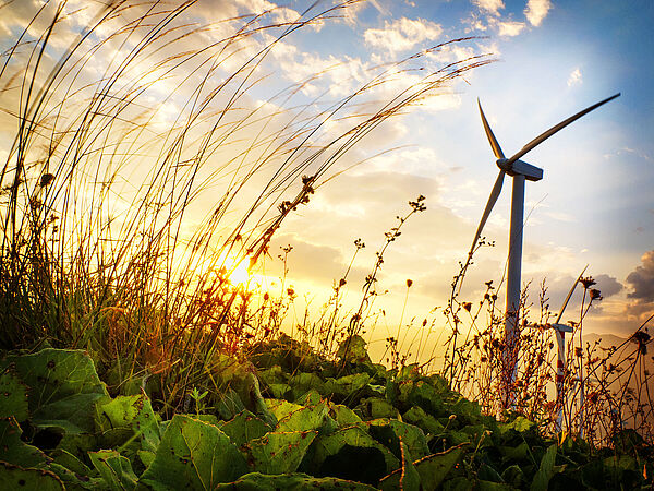 Wind Turbine in sunset