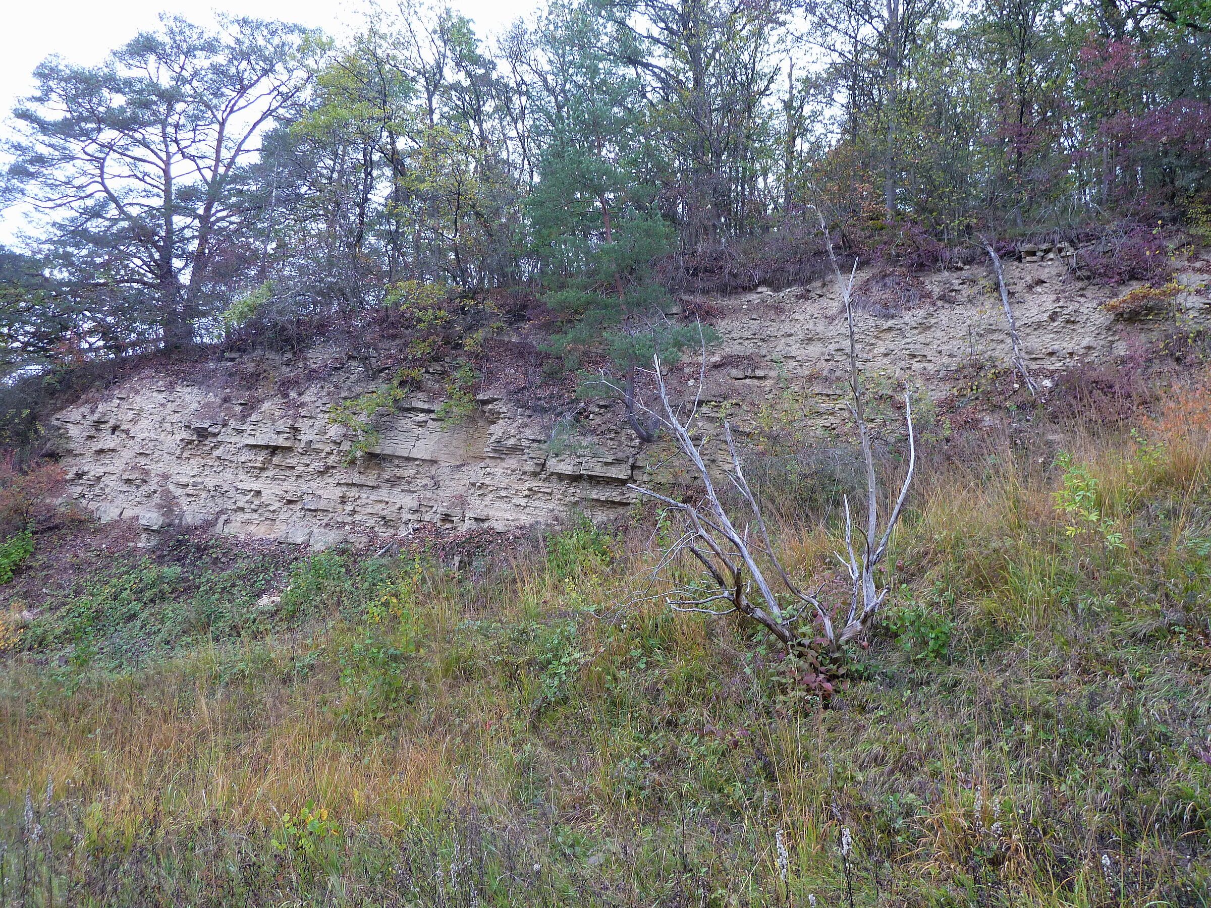 Tiefe Einschnitte lassen die unterschiedlichen Gesteinsschichten im Affental erkennen. (Foto: Winfried Berner) Tiefe Einschnitte lassen die unterschiedlichen Gesteinsschichten im Affental erkennen. (Foto: Winfried Berner)