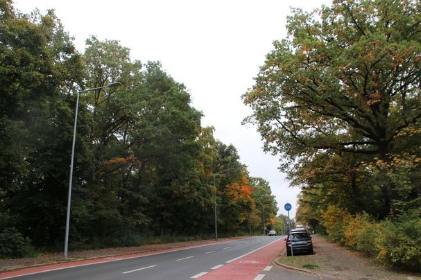 Eichendorffstraße