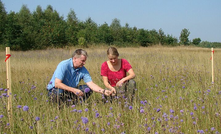 Die Projektleiter Wolfgang Degelmann und Nora Sichardt begutachten Futterpflanzen des Goldenen Scheckenfalters auf einer Wiese. (Foto: BN) Projekt Goldener Scheckenfalter: Die Projektleiter Wolfgang Degelmann und Nora Sichardt begutachten Futterpflanzen auf einer Wiese.