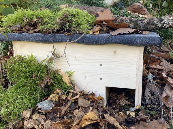 Am besten steht das Igelhaus an einem geschützten Ort unter Hecken, Sträuchern oder Bäumen. Gefüllt wird es mit Laub, Moos oder Stroh. (Foto: Martina Gehret) Ein Igelhaus steht im Garten, bedeckt mit Laub, Moos und Ästen.