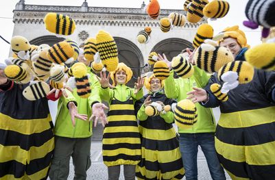 Foto: Jörg Farys