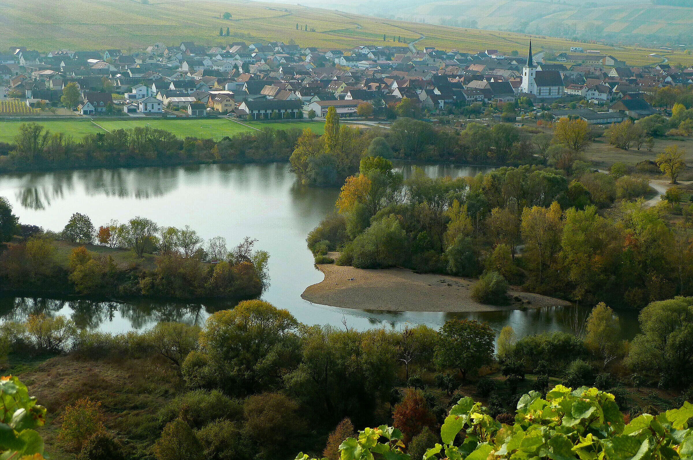 Blick über die Volkacher Mainschleife auf Nordheim, etwa aus halber Höhe des Hangs zur Vogelsburg: In den 1950er-Jahren wurde ein Kanal durchstochen, dies hat die Schleife vor dem Ausbau zur Schifffahrtsstraße bewahrt. (Foto: Winfried Berner) Blick auf Nordheim über die Volkacher Mainschleife vom gegenüberliegenden Hügel: Schon in den 1950er-Jahren wurde die Schleife mit einem Kanal durchstochen. (Foto: Winfried Berner)