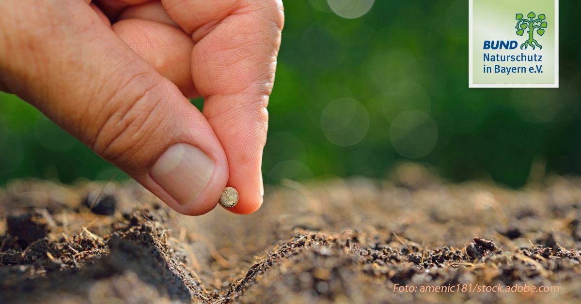 Bio-Saatgut und Bio-Pflanzen im Garten | BUND Naturschutz (BN)