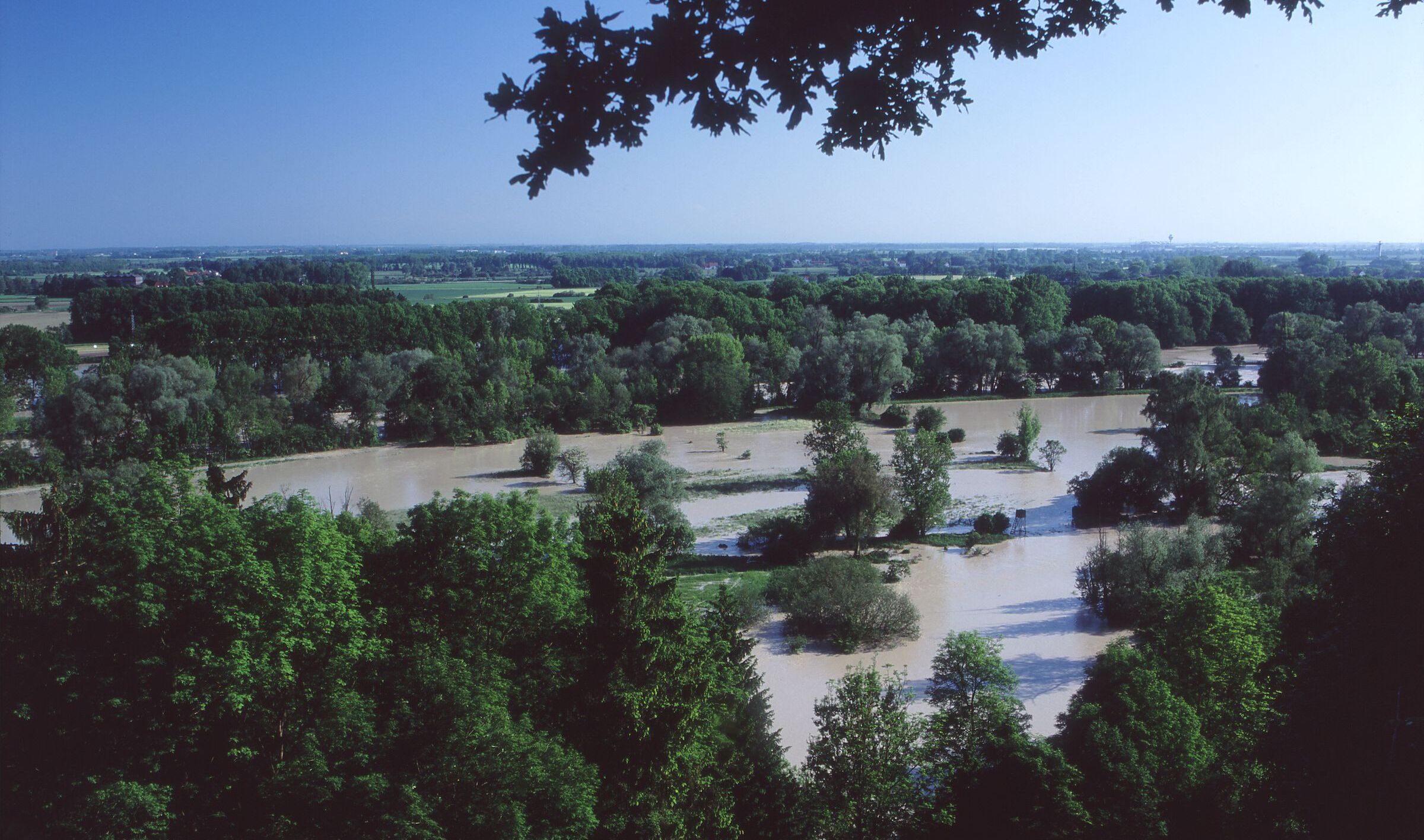 Auwälder wie hier an der Isar sind Wasserspeicher und natürlicher Hochwasserschutz