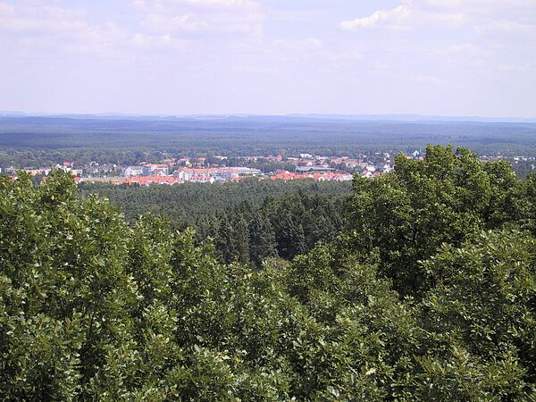 Nürnberger Reichswald (Foto: Tom Konopka)