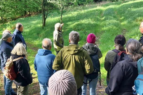 Abendwanderung Köstenberger Blumenwiesen 2026
