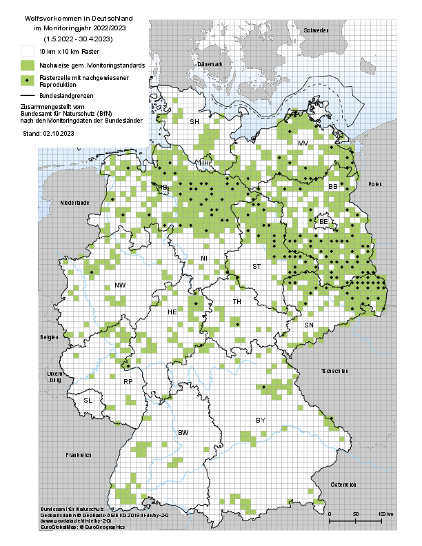Grafik: Bundesamt für Naturschutz (BfN) Eine Deutschlandkarte zeigt mit schwarzen und grünen Markierungen, wo Wölfe bzw. Wolfsfamilien vorkommen. (Grafik: Bundesamt für Naturschutz)