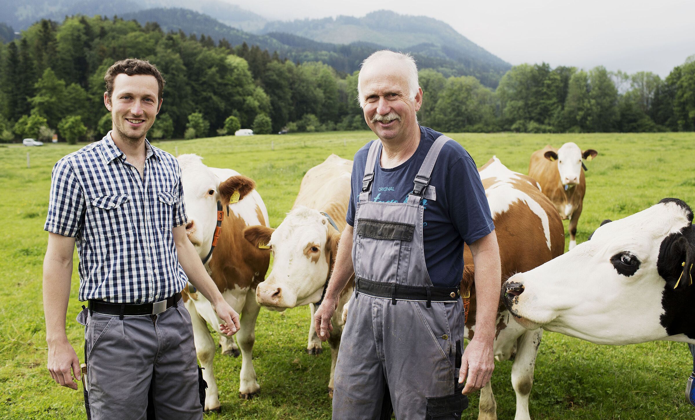 Junior- und Seniorlandwirt stehen in Arbeitskleidung auf der Weide bei ihren Kühen.