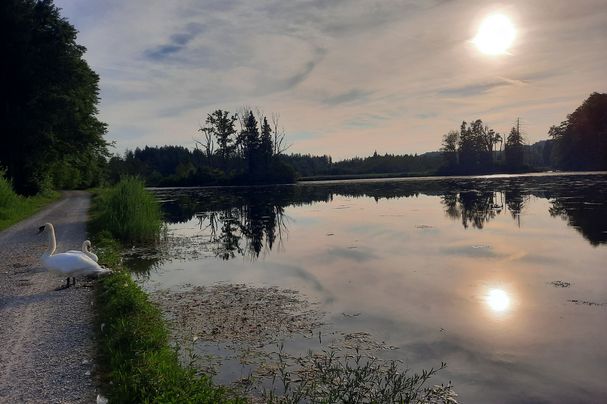 Der Bansee in Seeon