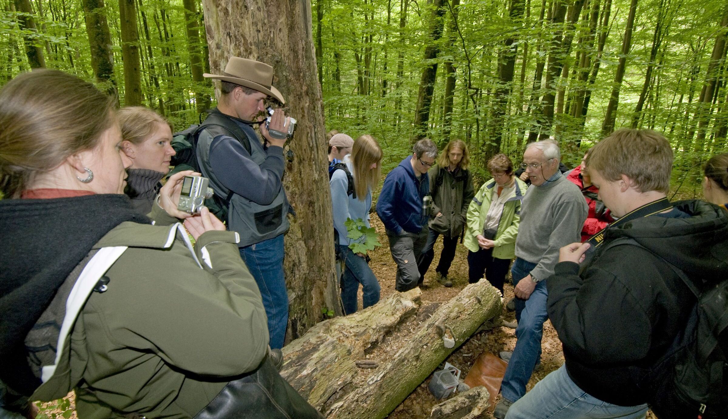 Besucher im Steigerwald betrachten einen umgekippten Baum.