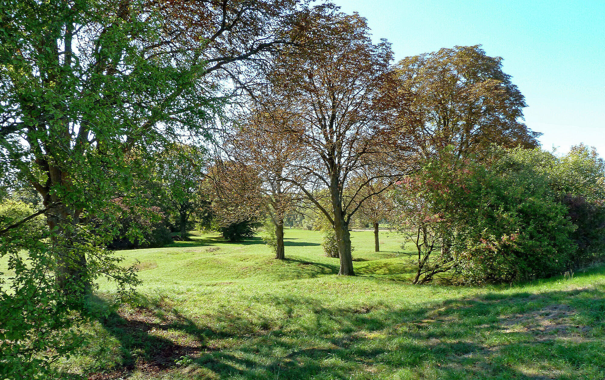 Der Gipsrundweg führt auf sieben Kilometern durch die idyllische Landschaft der Sulzheimer Gipshügel (Foto: Winfried Berner). Der Gipsrundweg im Sonnenlicht führt durch die idyllische Landschaft der Sulzheimer Gipshügel (Foto: Winfried Berner).
