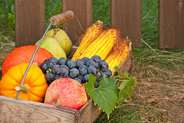 Bio-Gemüse und Obst (Foto: Cora Müller/Clipdealer)