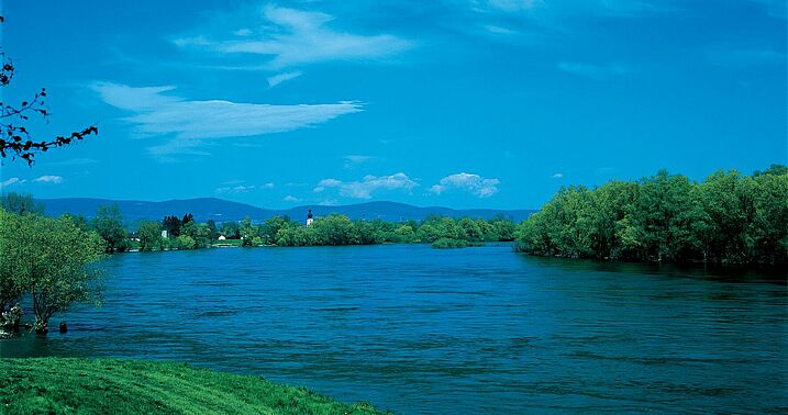 Die Mühlhamer Schleife ist ein landschaftliches Kleinod an der frei fließenden Donau. Bei einer Kanalisierung würde sie vom Fluss abgeschnitten (Foto: Wolfgang Willner). Donau: Mühlhamer Schleife