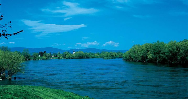 Donau: Mühlhamer Schleife