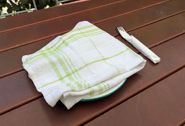 Am besten ist es, Wespen erst garnicht anzulocken. Deshalb: Essen im Freien abdecken! (Foto: Holger Lieber) EIn Geschirrtuch deckt das Essen auf einem Teller im Freien ab.