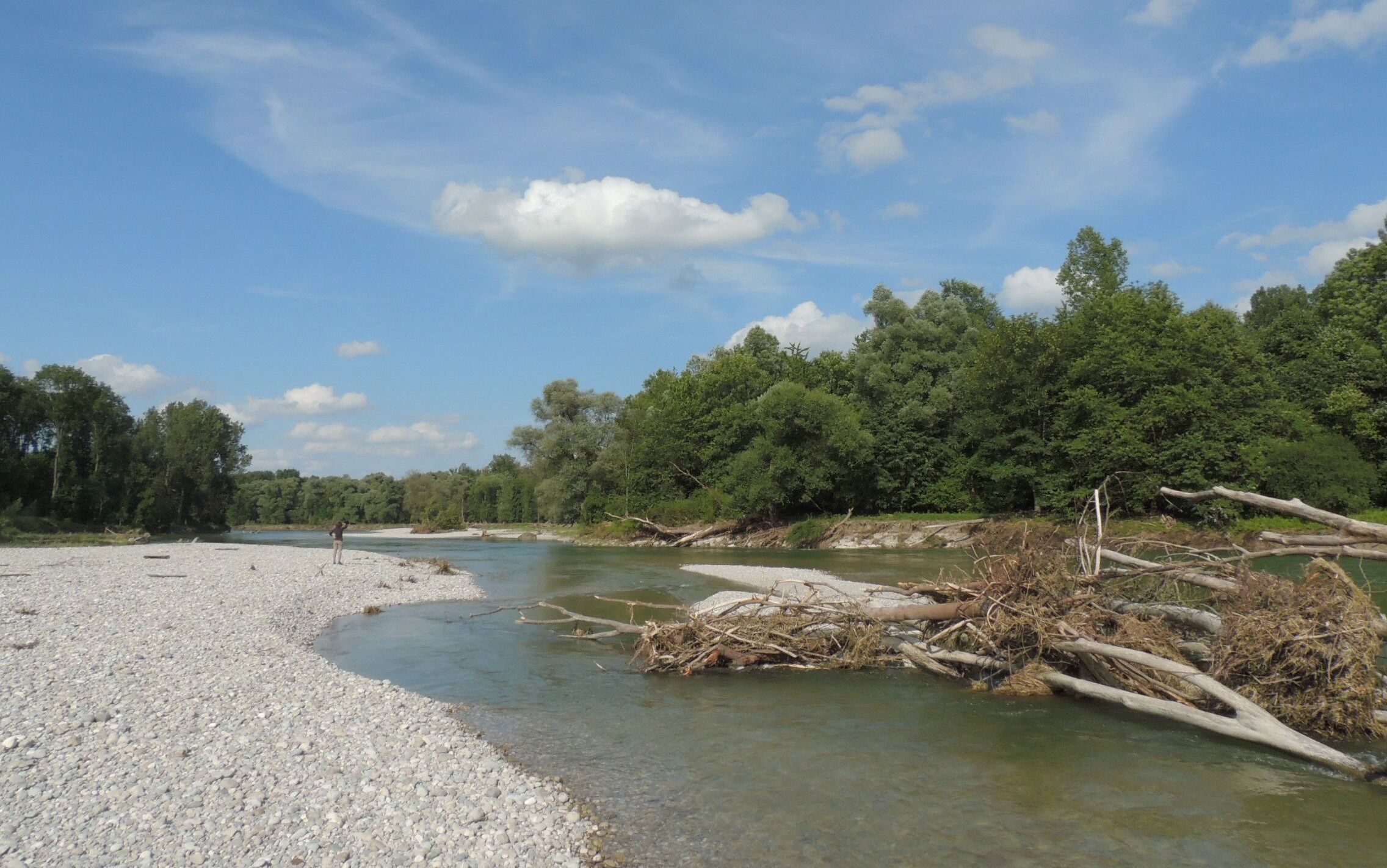 Ökosystem Fluss: Wieder in Bewegung – die renaturierte Mittlere