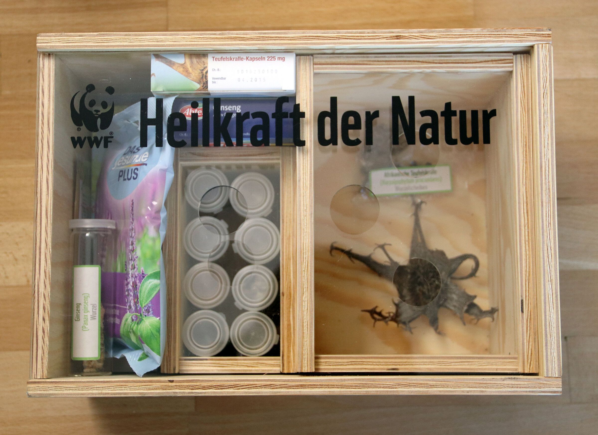 Heilkrautbox (Foto: BN-Archiv)