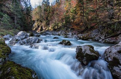Ostrach bei Hinterstein (Foto: Reinhard Scholl/fotolia.com)
