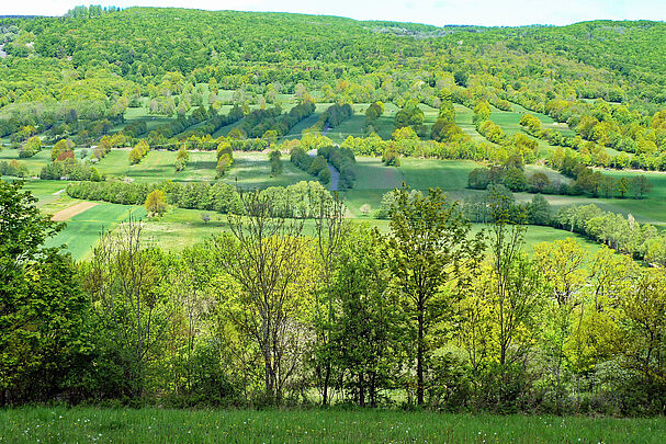 Blick über die Heckenrhön (Foto: Winfried Berner)