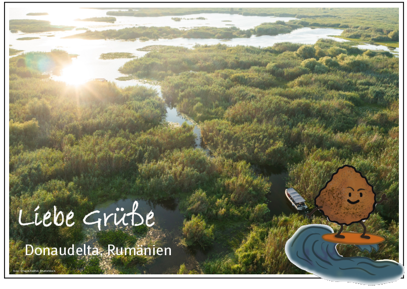 Postkarte Infostand Wassererosion (Bild: BN-Archiv)