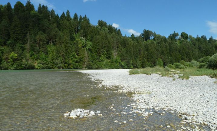 Der Lech ist verbaut, nur die gerettete Litzauer Schleife vermittelt noch einen Eindruck von der natürlichen Schönheit des Flusses in früheren Zeiten. (Foto: Berner)