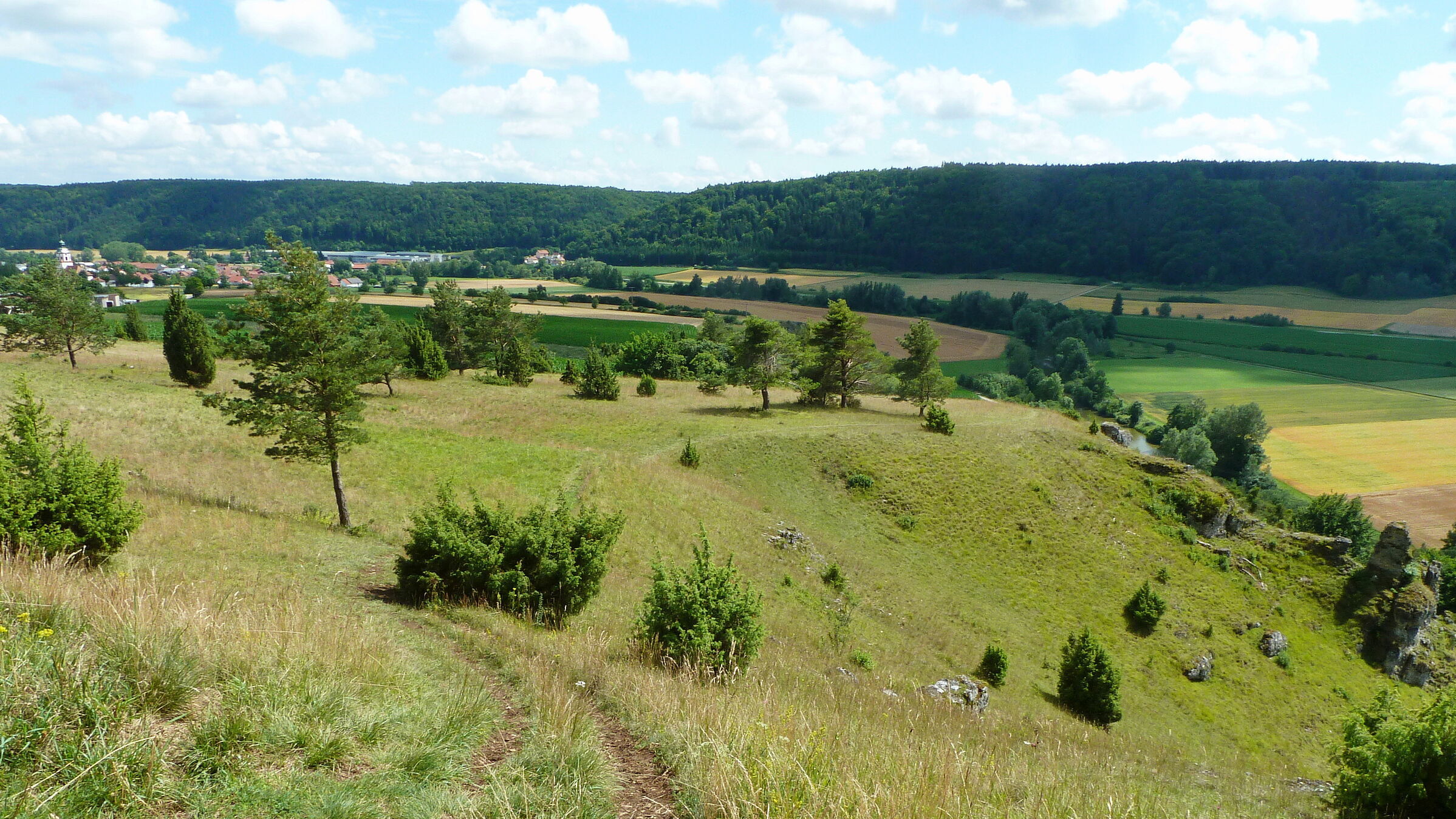 Gungoldinger Wacholderheide (Foto: Winfried Berner) Die Gungoldinger Wacholderheide mit dem Wald im Hintergrund