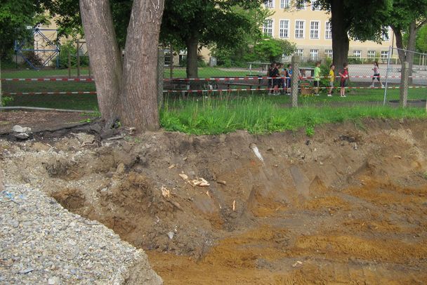 Die Wurzeln dieses Baumes wurden bei Baumaßnahmen gekappt. Das darf nicht passieren. (Foto: Rudolf Wittmann)