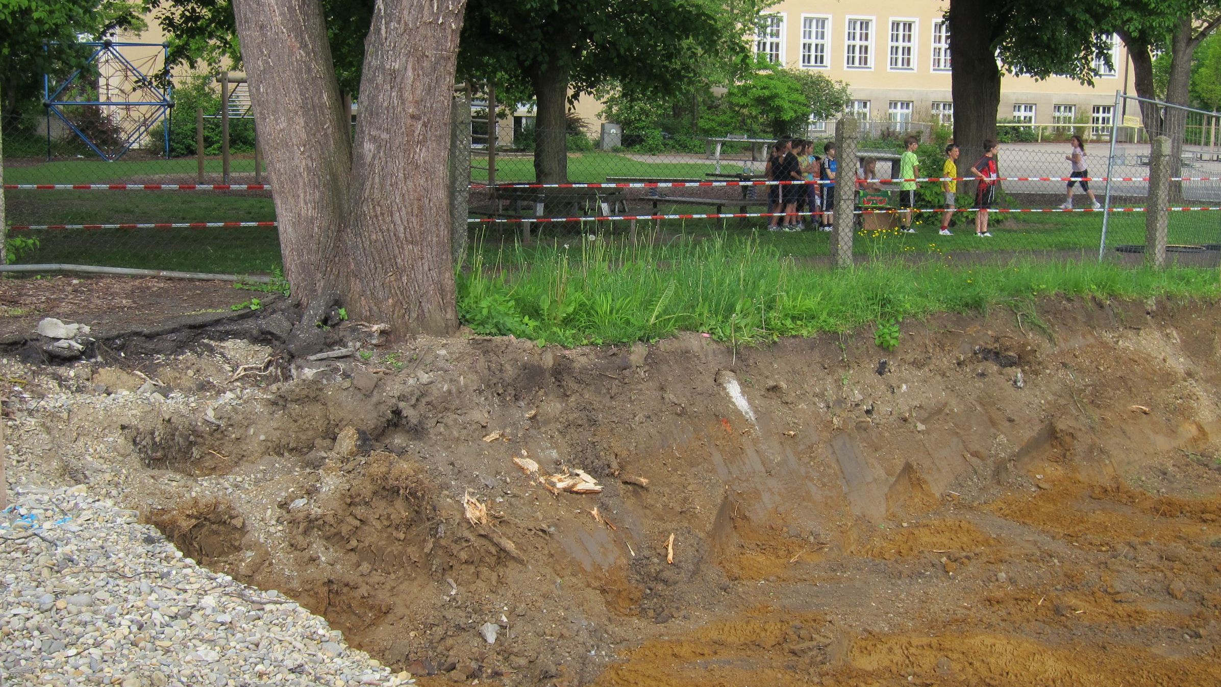 Die Wurzeln dieses Baumes wurden bei Baumaßnahmen gekappt. Das darf nicht passieren. (Foto: Rudolf Wittmann) Baumschutz auf Baustellen: Das Bild zeigt die Wurzeln eines Baumes, die bei Bauarbeiten gekappt wurden.