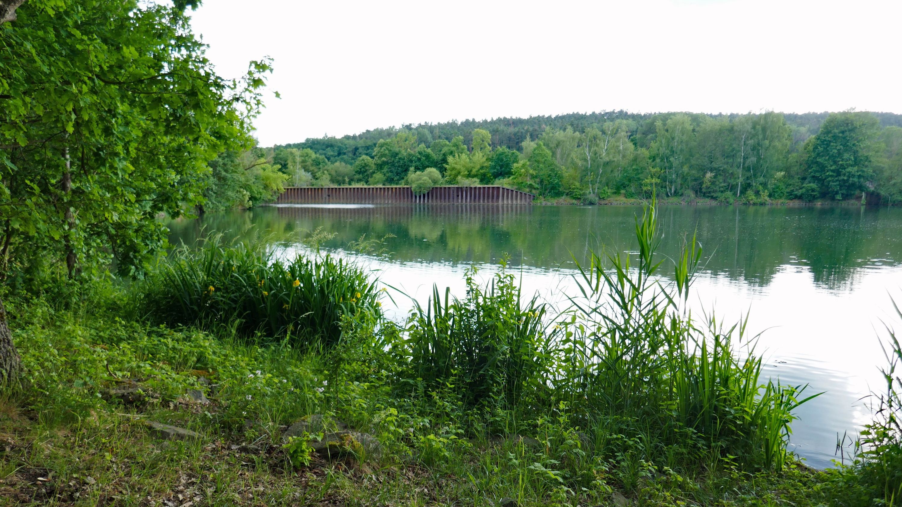 Eingebettet in die Landschaft der Büg liegen Weiher, die das Landschaftsbild prägen. Zusammen mit den angrenzenden Flächen bilden sie ein vielfältiges Mosaik unterschiedlicher Lebensräume. (Foto: Winfried Berner) Auenlandschaft Büg bei Eggolsheim: Von Büschen eingerahmter Weiher, im Hintergrund bewaldete Hügel