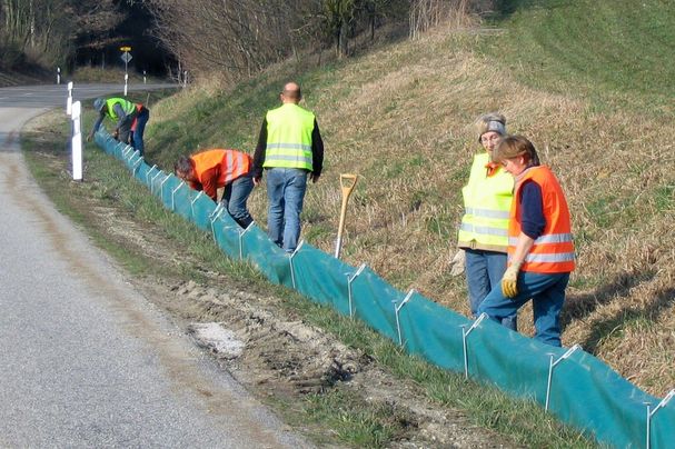 Krötenzaun; Foto: Paul Riederer