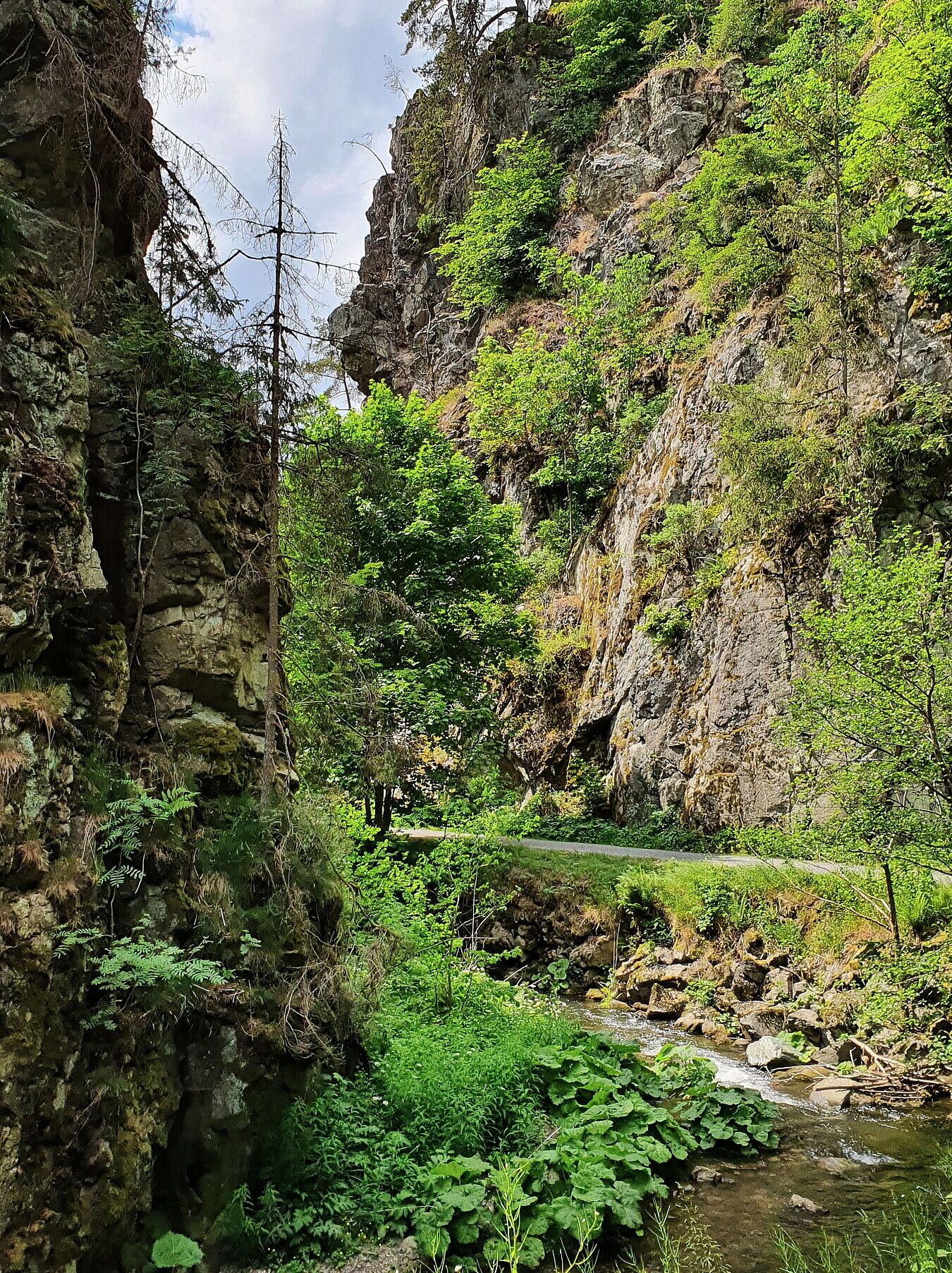 Das enge Steinachtal ist tief eingeschnitten, neben dem Bachbett ist nur wenig Platz. (Foto: Winfried Berner)