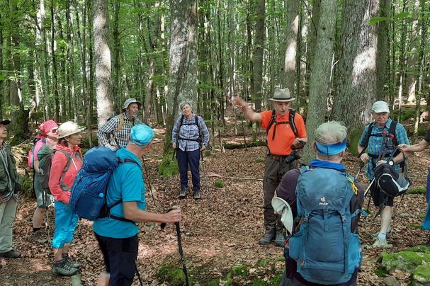 Die Teilnehmer lauschen aufmerksam den Ausführungen des Försters. Foto: Stefan Englbrecht
