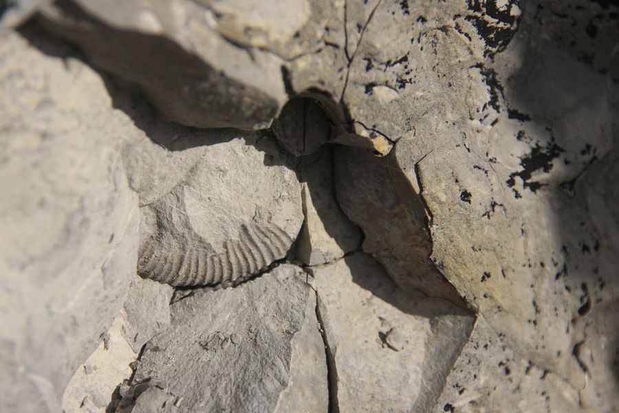 Alpen Entstehung Geologie Und Klima