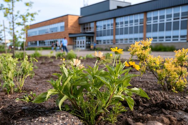 Ein Schulhof mit Bepflanzung: Die Lehrerfortbildung Startchance Wasser-Bildung vermittelt Grund- und Methodenwissen. (Foto: Thares2020/stock.adobe.com) Ein Schulhof mit Bepflanzung: Die Lehrerfortbildung Startchance Wasser-Bildung vermittelt Grund- und Methodenwissen. (Foto: Thares2020/stock.adobe.com)