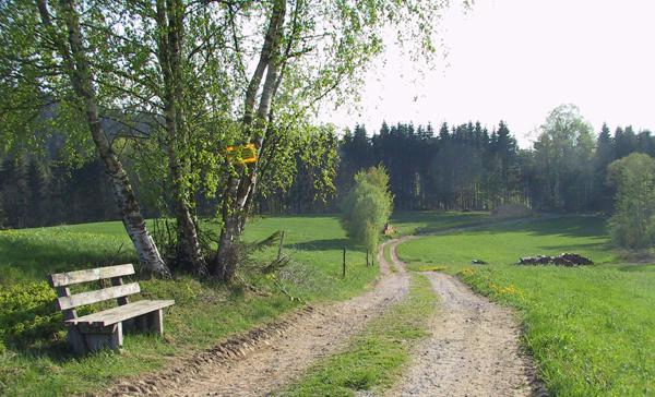Bank an Weg bei Rettenbach im Vorderen Bayerischen Wald